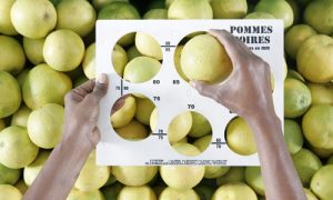 Какие стандарты вступят в силу с 1 октября 2020 года?